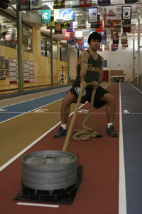 MMA sled training